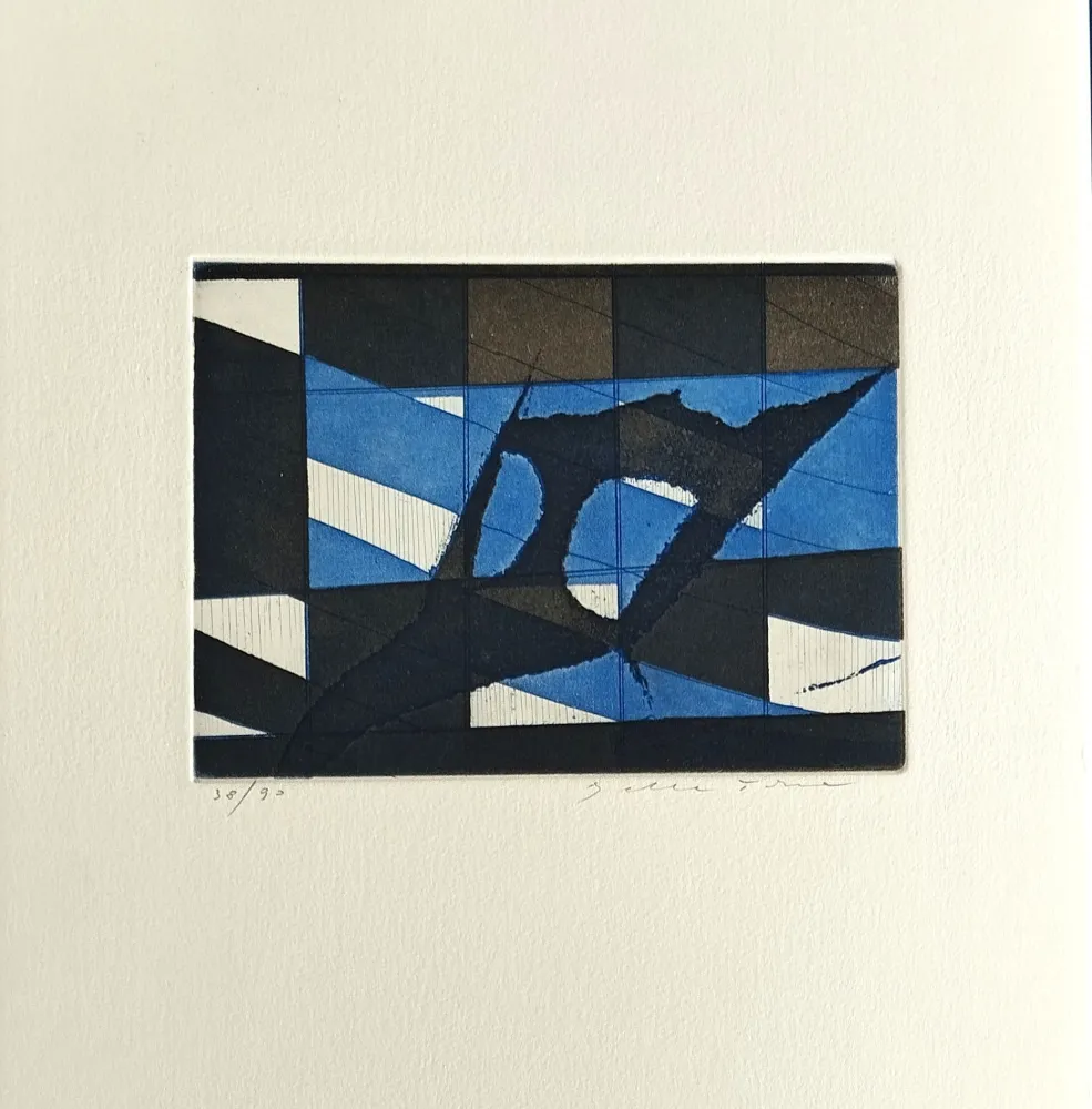 Ets En Aquatint Della Torre - Trame