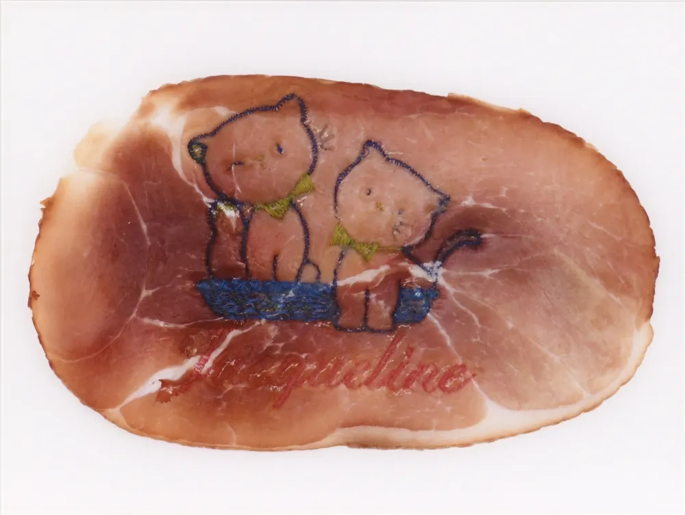 Fotografie Delvoye - Untitled 02 (Photograph of Embroidered Ham) (