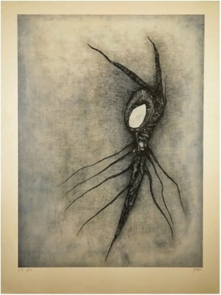 Lithografie Deux - La Vingtième racine cosmique