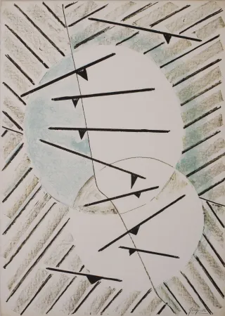 Lithografie Deyrolle - S.T.