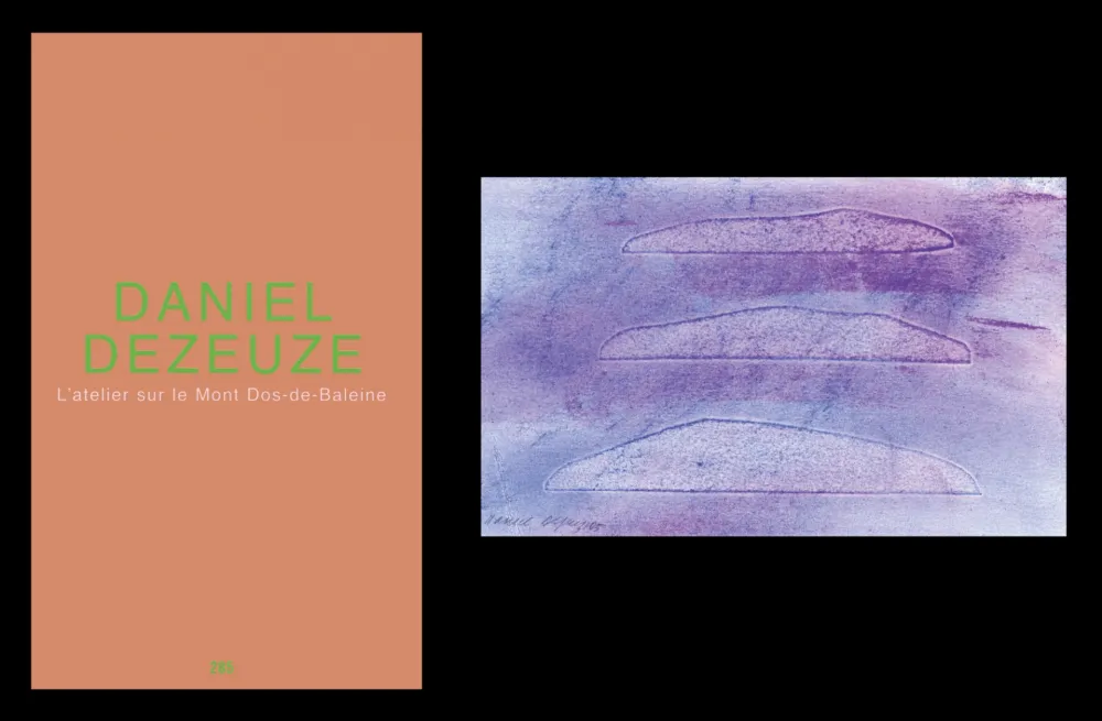 Geïllustreerd Boek Dezeuze - L'art en écrit 