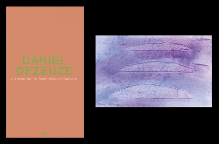 Geïllustreerd Boek Dezeuze - L'art en écrit 