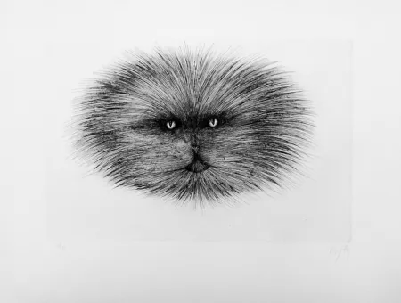 Droge Naald D'ho - Chat gris