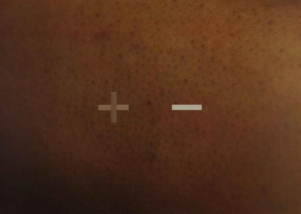 Zeefdruk Dias - S.T.