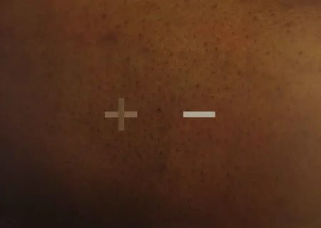 Zeefdruk Dias - S.T.