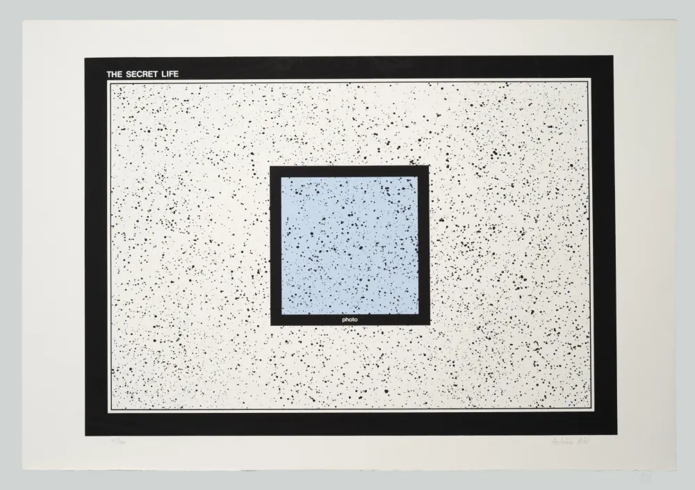 Zeefdruk Dias - The secret life