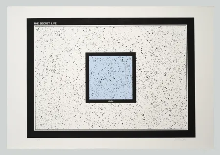 Zeefdruk Dias - The secret life