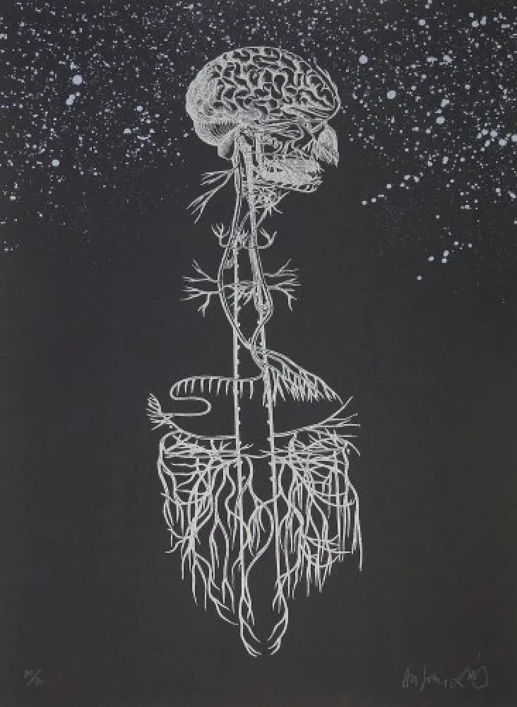 Lithografie Diaz - Navegador