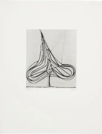 Droge Naald Diebenkorn - Spade Drypoint