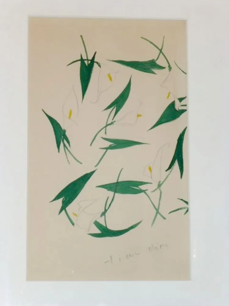 Geen Techniek Dior - Les arums