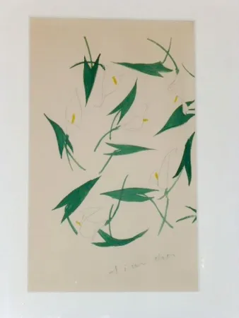 Geen Techniek Dior - Les arums