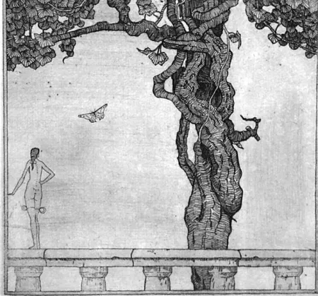 Ets Disertori - La ninfetta