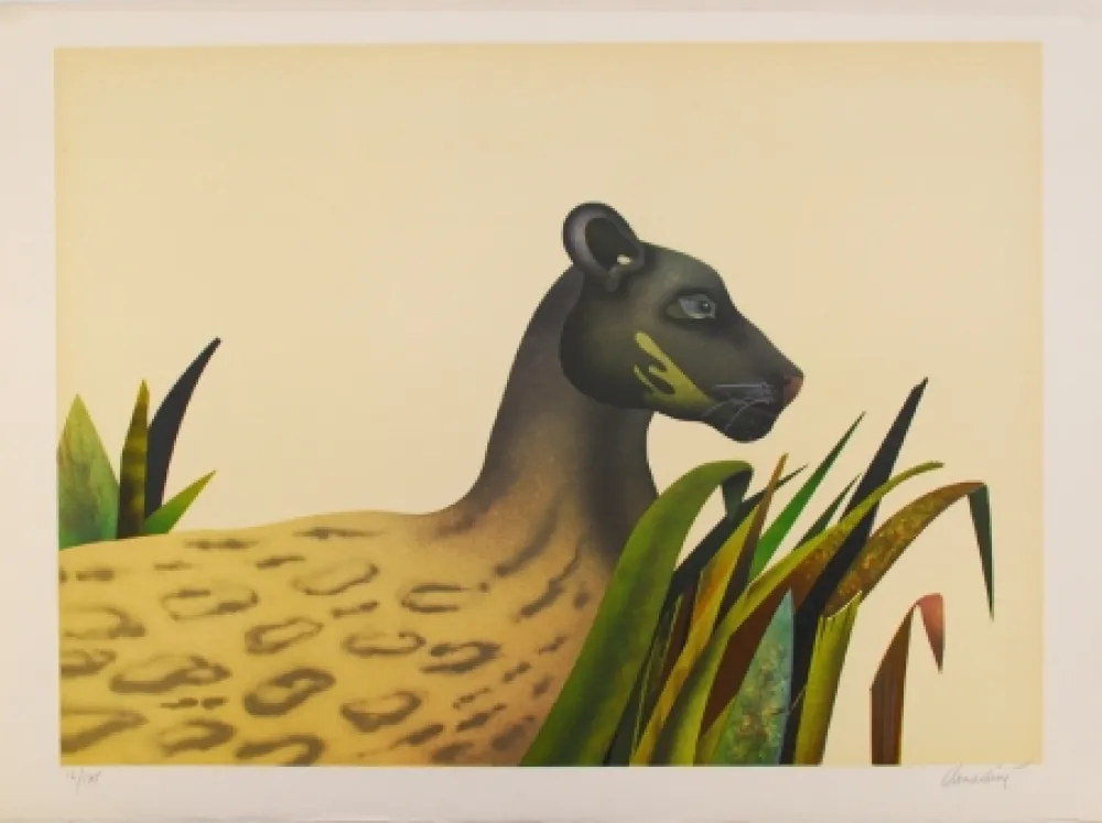 Lithografie Donadini - Wildcat