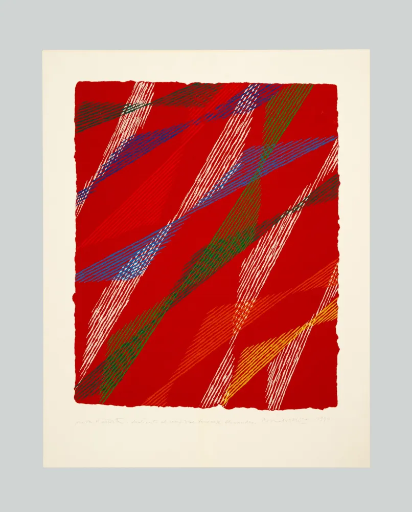 Zeefdruk Dorazio - Composizione