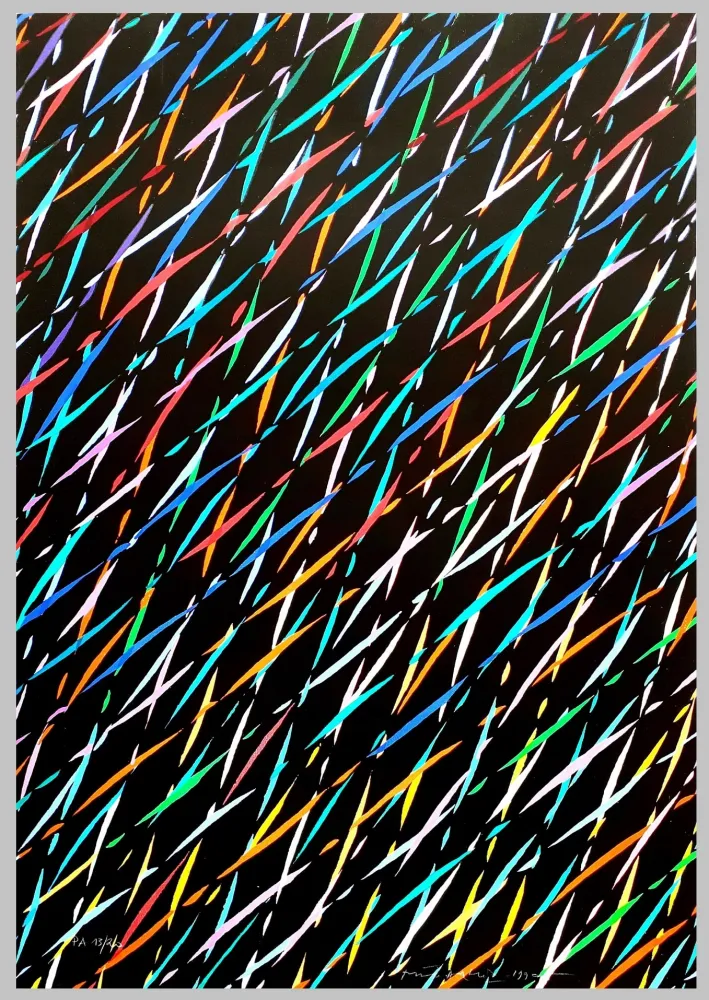 Zeefdruk Dorazio - Composizione