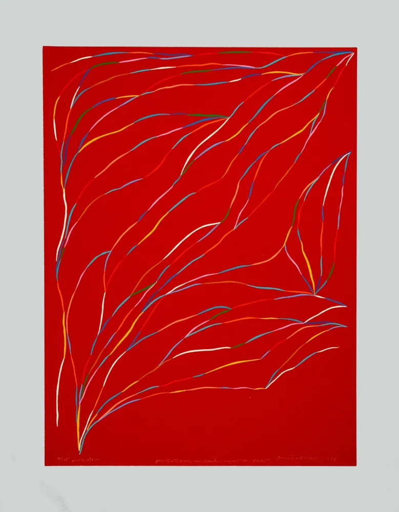 Zeefdruk Dorazio - Composizione