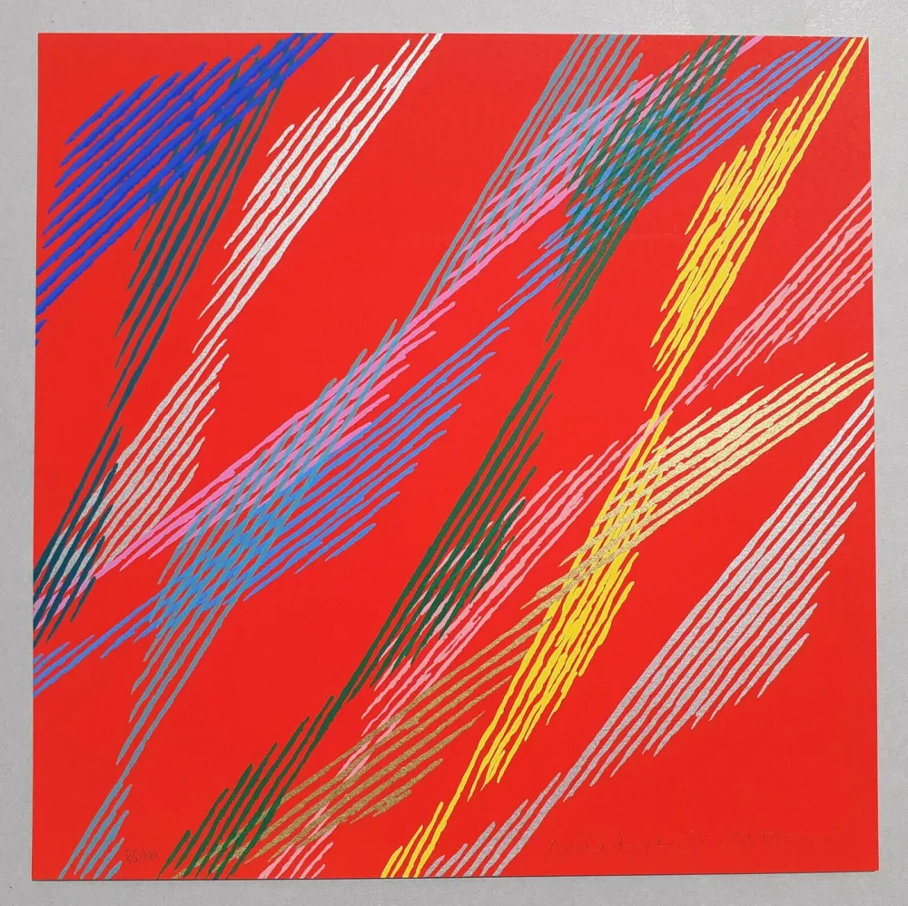 Zeefdruk Dorazio - Composizione B