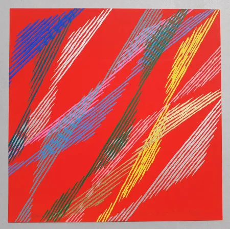 Zeefdruk Dorazio - Composizione B