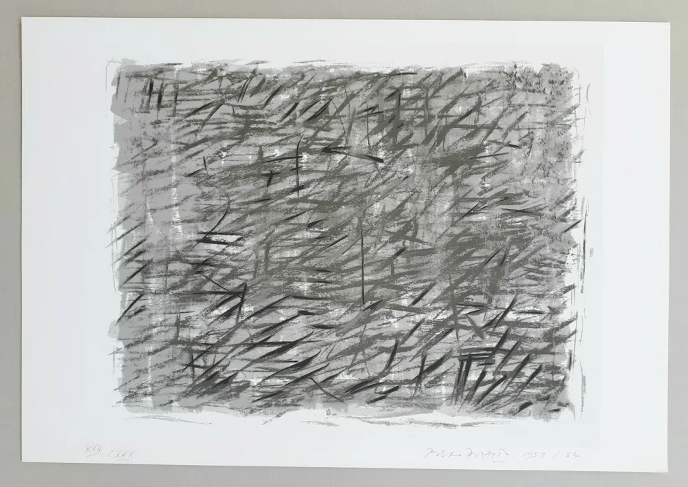 Zeefdruk Dorazio - Disegno