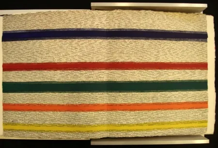 Geïllustreerd Boek Dorazio - New Jersey