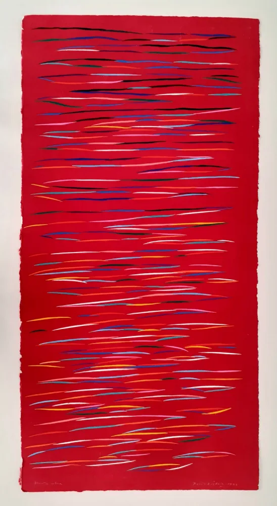 Linosnede Dorazio - Senza titolo