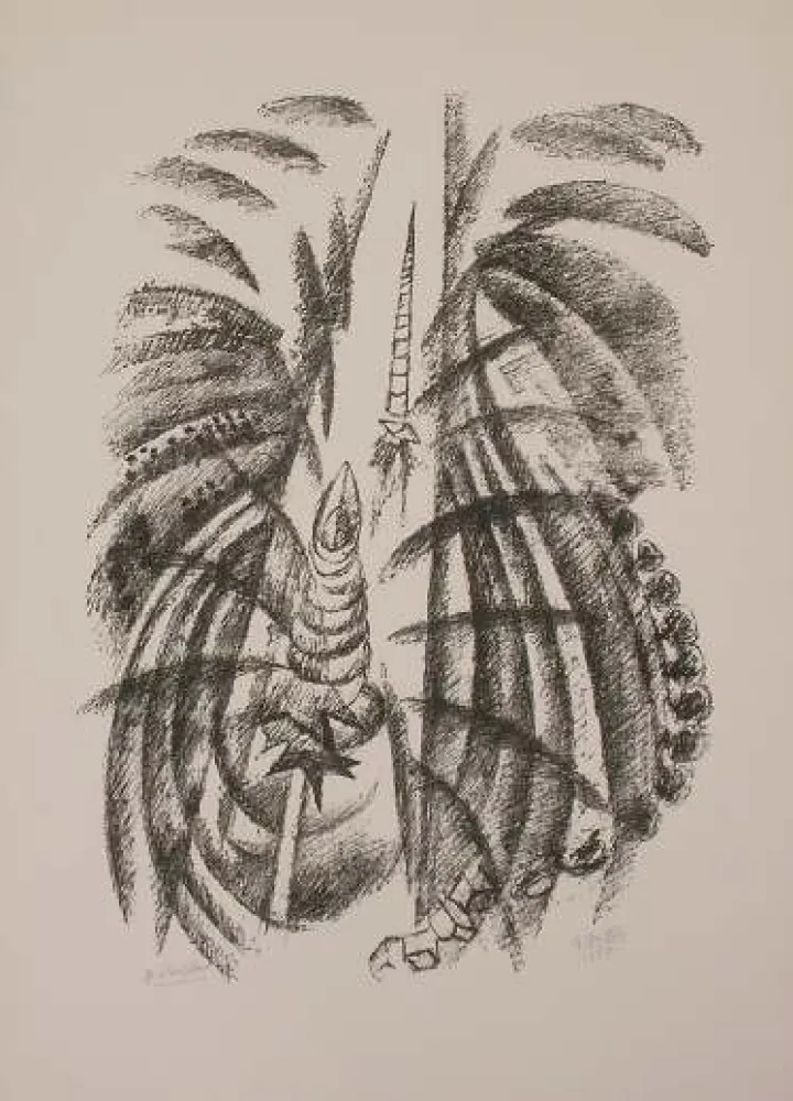 Lithografie Dottori - SENZA TITOLO