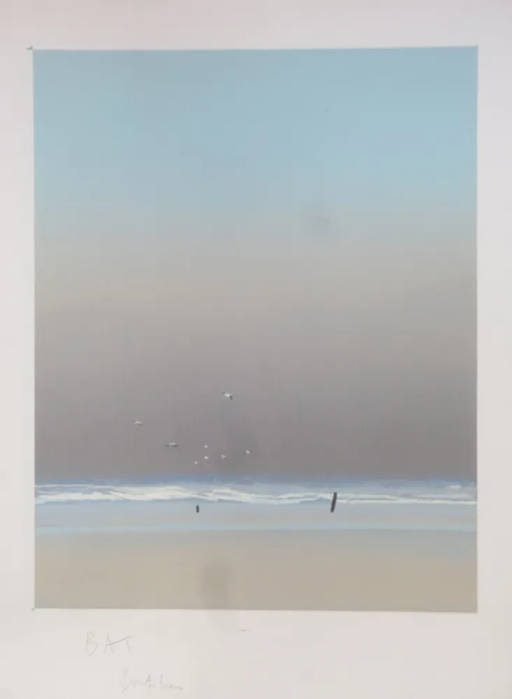 Lithografie Doutreleau - Les mouettes