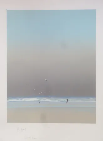 Lithografie Doutreleau - Les mouettes