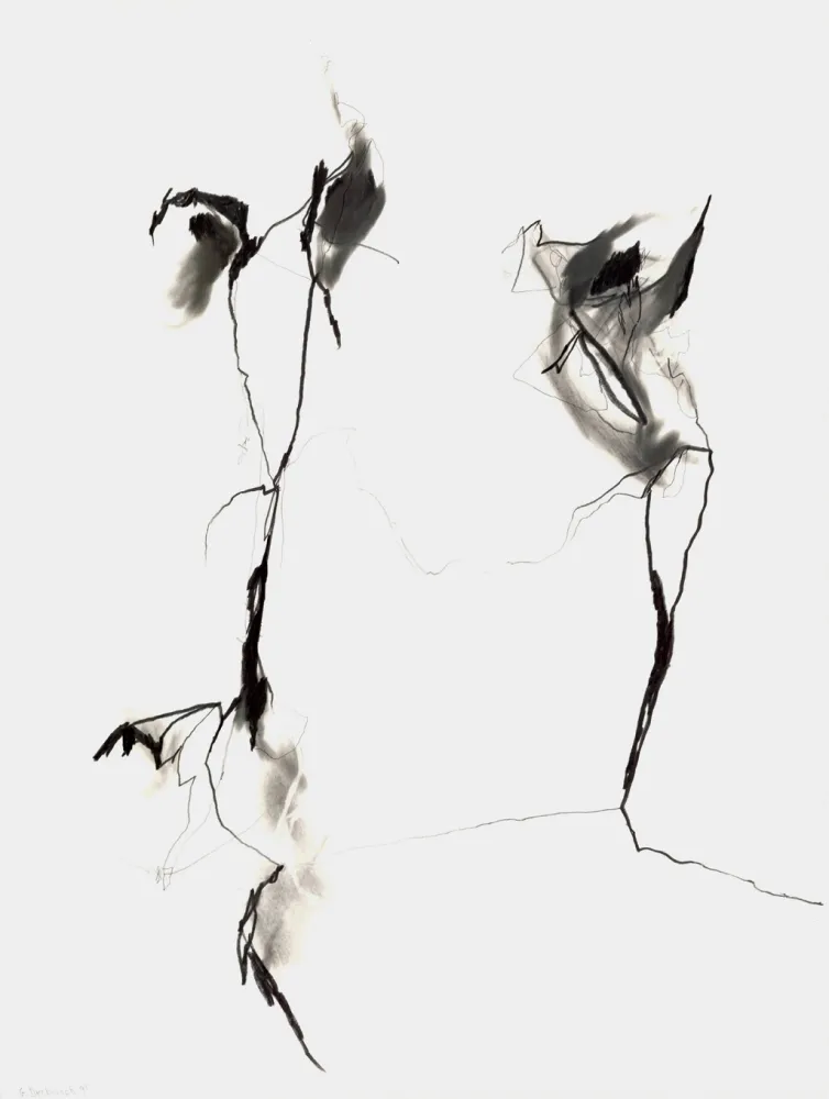 Geen Techniek Drehbusch - Belangloskeiten / Irrelevancies