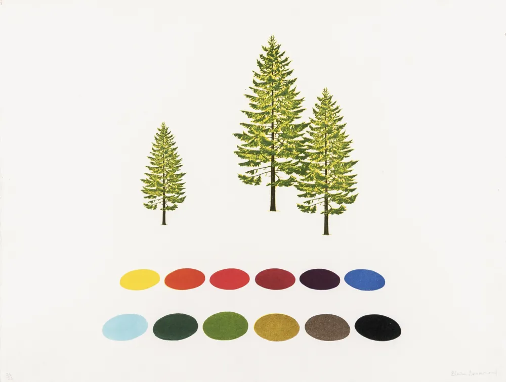 Lithografie Drummond - Deckfarbkasten