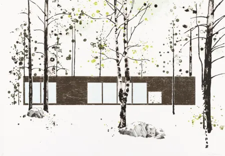 Lithografie Drummond - Experimental House for Marimekko