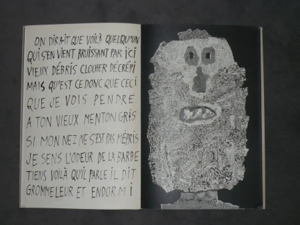 Geïllustreerd Boek Dubuffet - La fleur de barbe