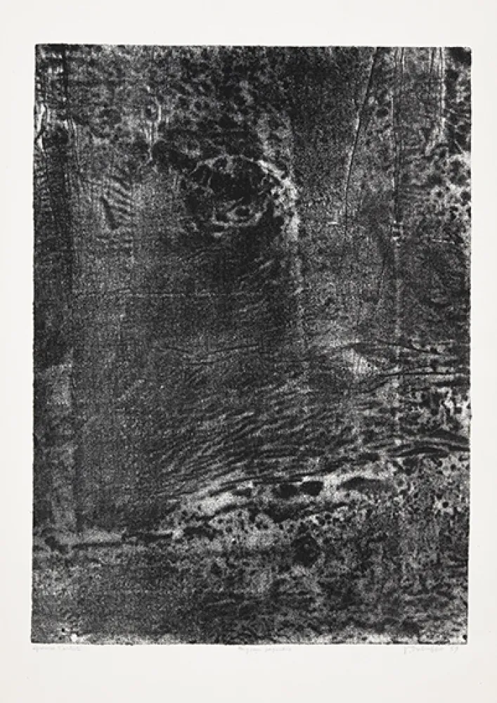 Lithografie Dubuffet - Paysage japonais