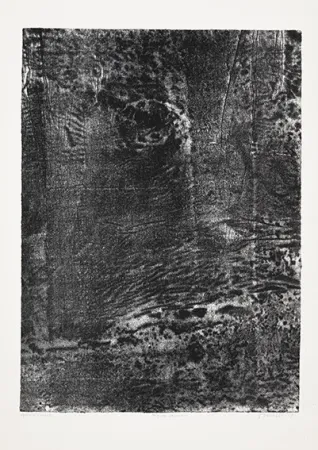 Lithografie Dubuffet - Paysage japonais