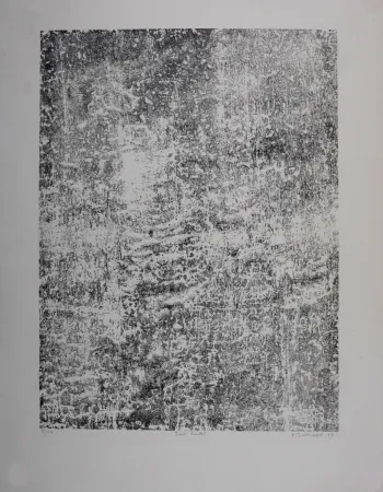 Lithografie Dubuffet - Texte écaillé, 1959 - Hand-signed