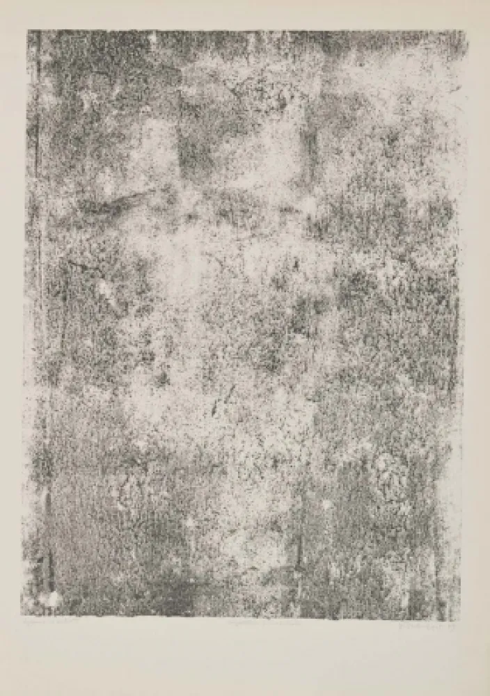 Lithografie Dubuffet - Végétation primordiale
