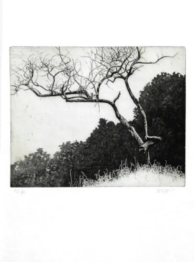 Geïllustreerd Boek Dugo - Poco prima del temporale