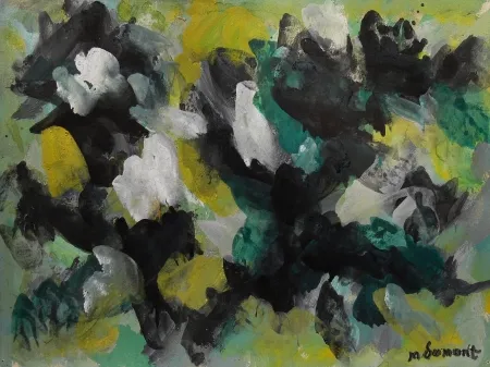 Geen Techniek Dumont - LE VERCORS / THE VERCORS