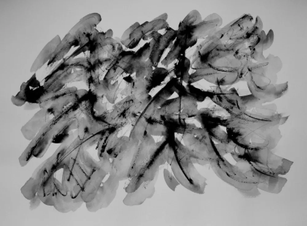 Geen Techniek Dumont - LE VERCORS / THE VERCORS