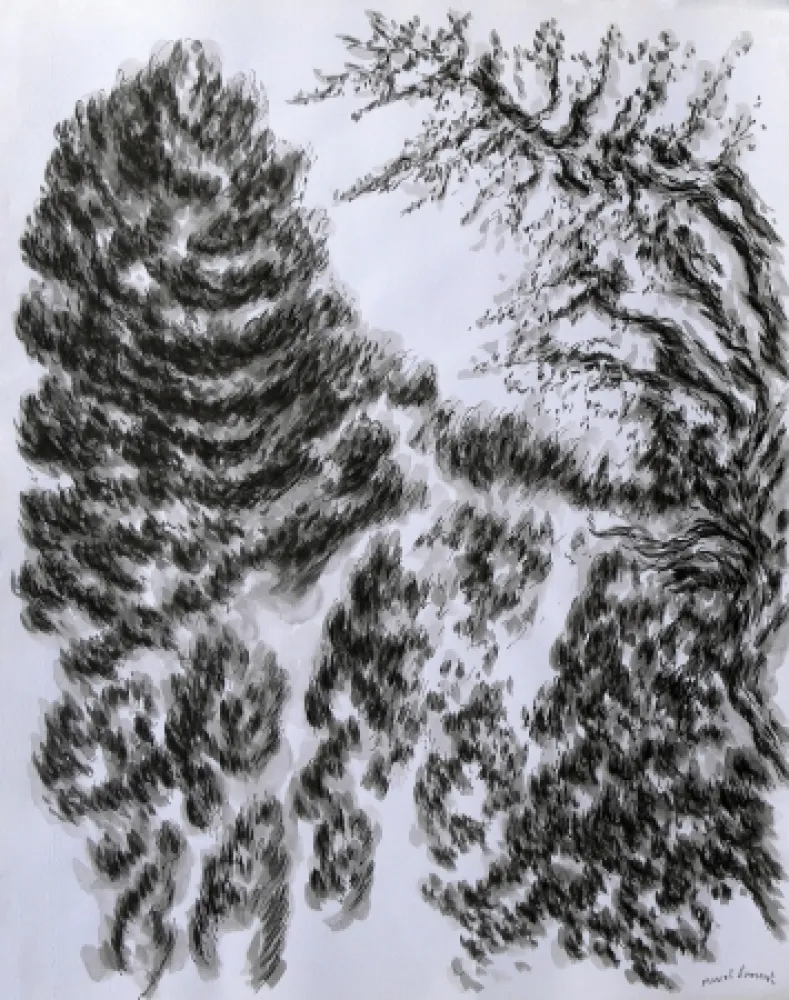 Geen Techniek Dumont - LES / THE ALPILLES