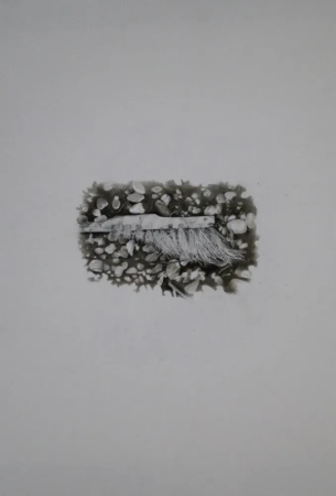 Geen Techniek Ebert - Besen