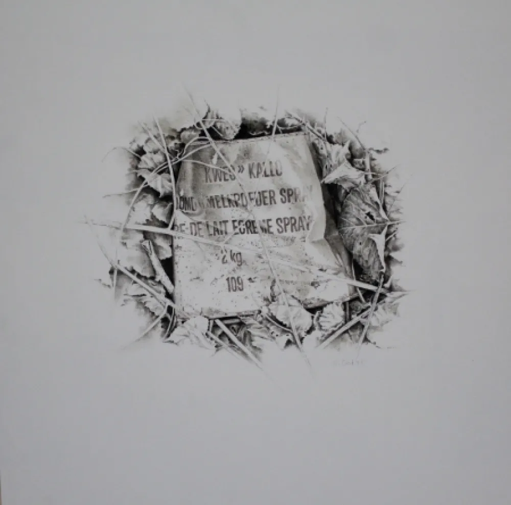 Geen Techniek Ebert - Komposition mit Efeu