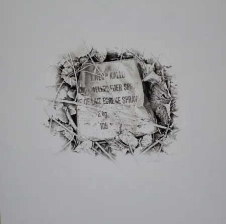 Geen Techniek Ebert - Komposition mit Efeu