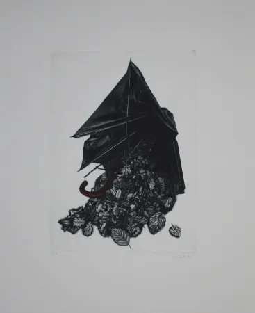 Mezzotint Ebert - Schirm und Blättern