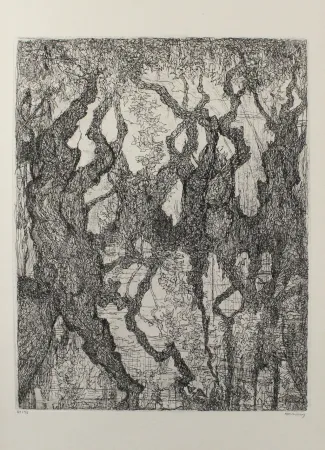 Ets Eliasberg - Die Platanen des Pelion