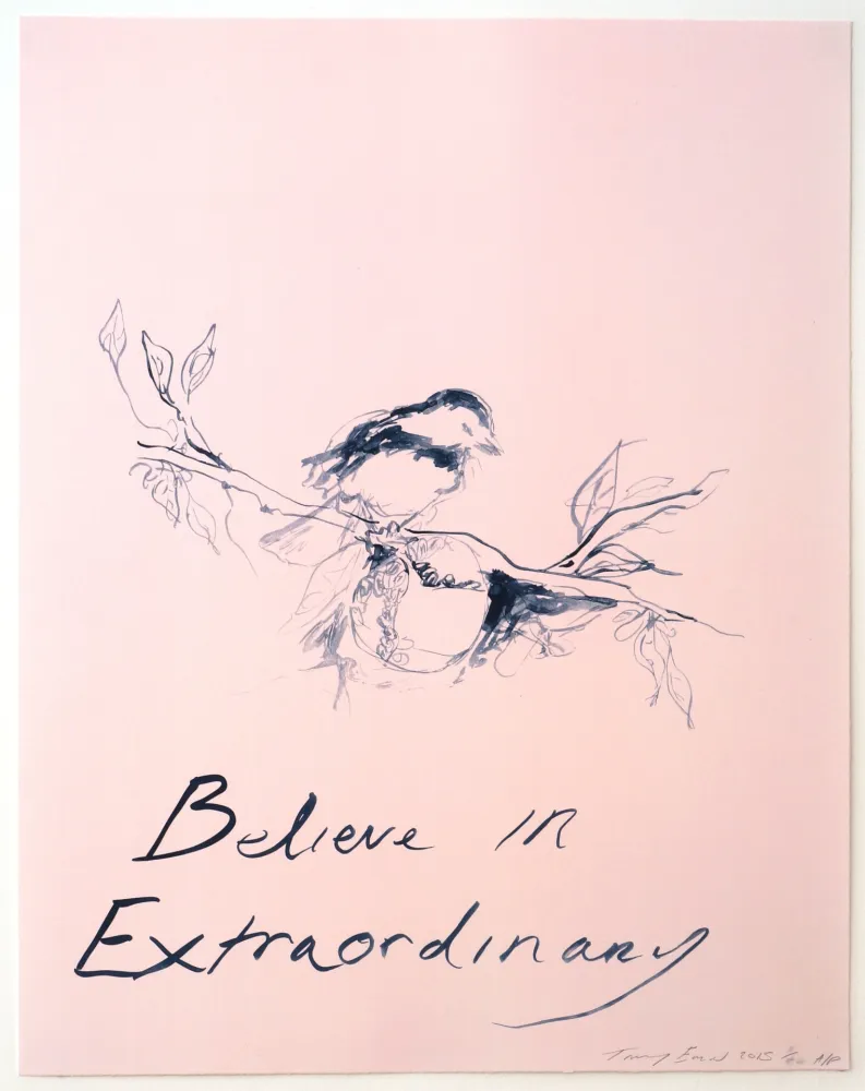 Lithografie Emin - Believe in Extraordinary