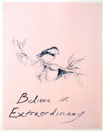 Lithografie Emin - Believe in Extraordinary