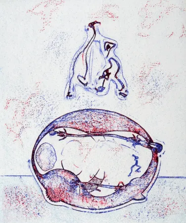 Lithografie Ernst - Après moi le XXème siècle, 1971