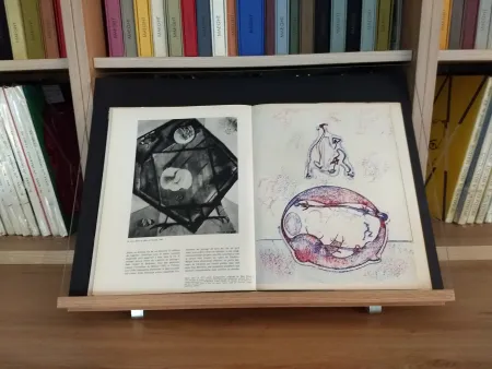 Geïllustreerd Boek Ernst - Hommage