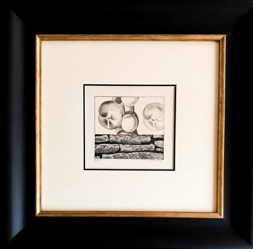 Lithografie Ernst - Max Ernst (1891–1976) - Fruits défendus - Photolithography on paper - 1968